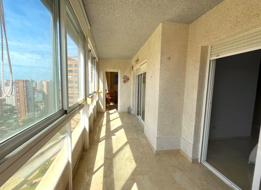 Odsprzedaż / Rynek wtórny - Mieszkanie w bloku -
Benidorm - Centro