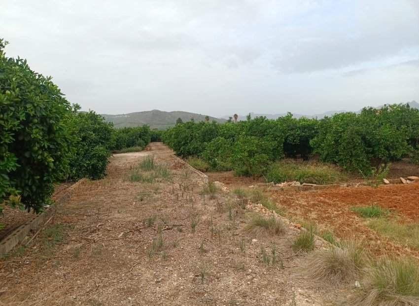 parcela - En venta parcela rústica en Pedreguer, Alicante, Costa Blanca