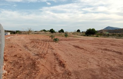 parcelle rustique - Revente -
            Altea - 210-25