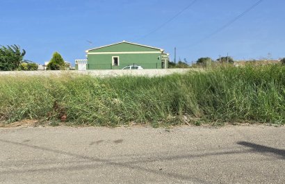 Parcelle / Terrain - Revente - Els Poblets -
                Els Poblets