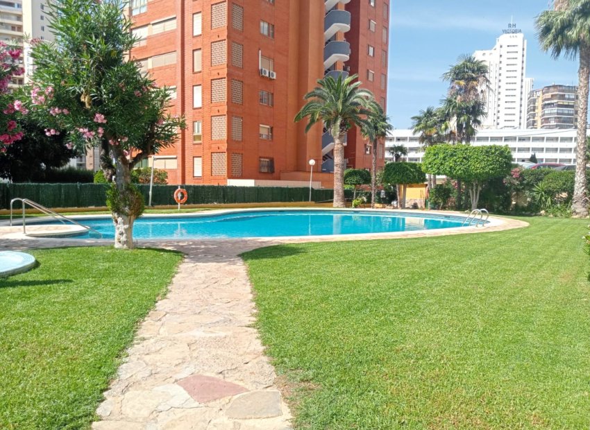 Piscina - Apartamento con piscina en el centro de Benidorm a 5 minutos de la playa (Costa Blanca)