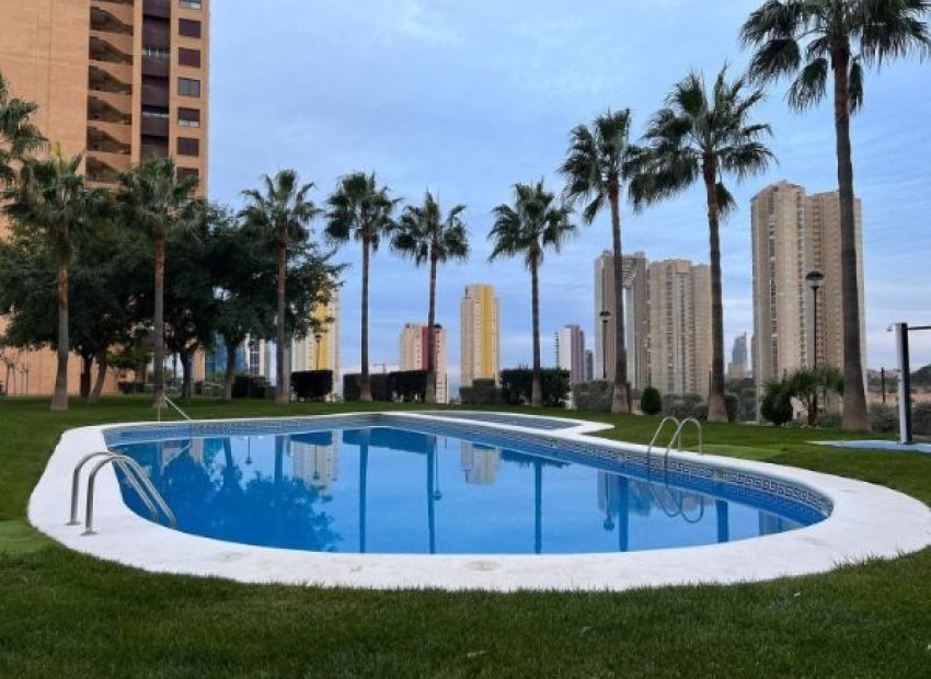 Piscina -Piso con urbanización con piscina en Benidorm Poniente (Costablanca - Alicante)