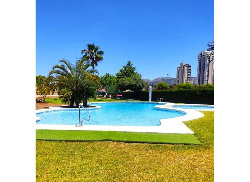 Piscina - Piso en Benidorm con piscina (Benidorm - Alicante - Costa Blanca)