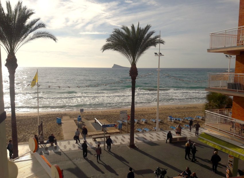 Playa - Piso en Benidorm primera linea de playa (Alicante - Costablanca)