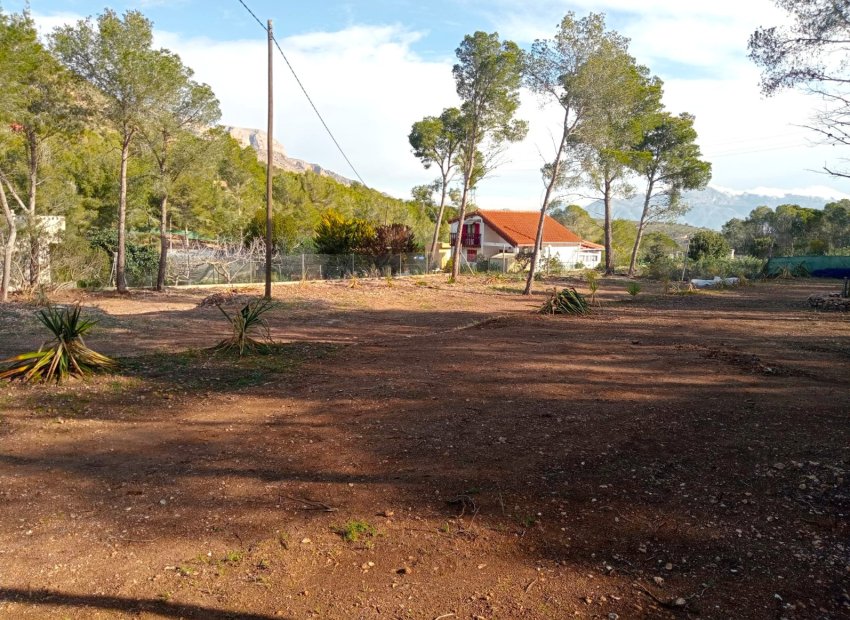 Plot - Rustic Land in Finestrat (Costa Blanca)