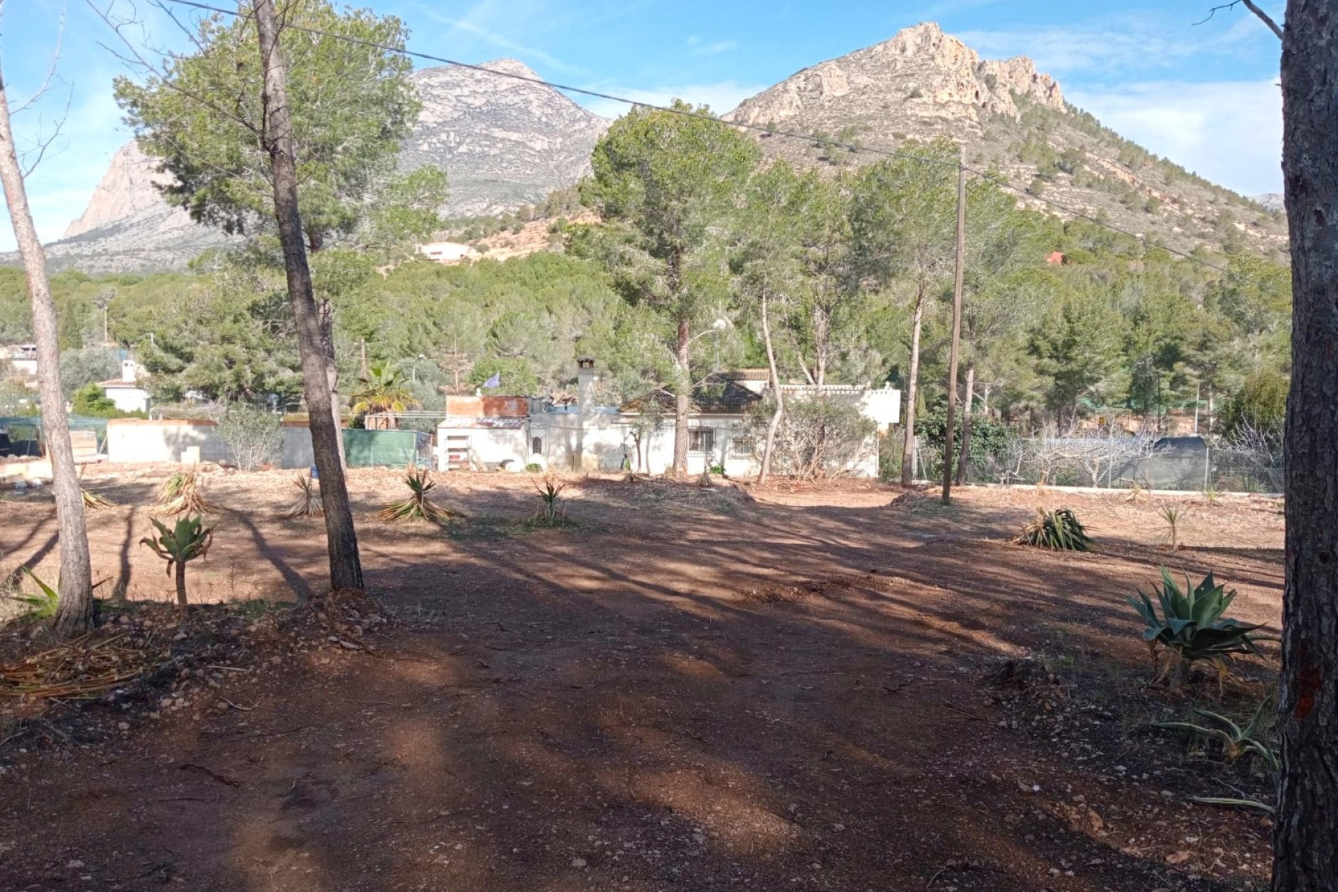 Plot - Rustic Land in Finestrat (Costa Blanca)