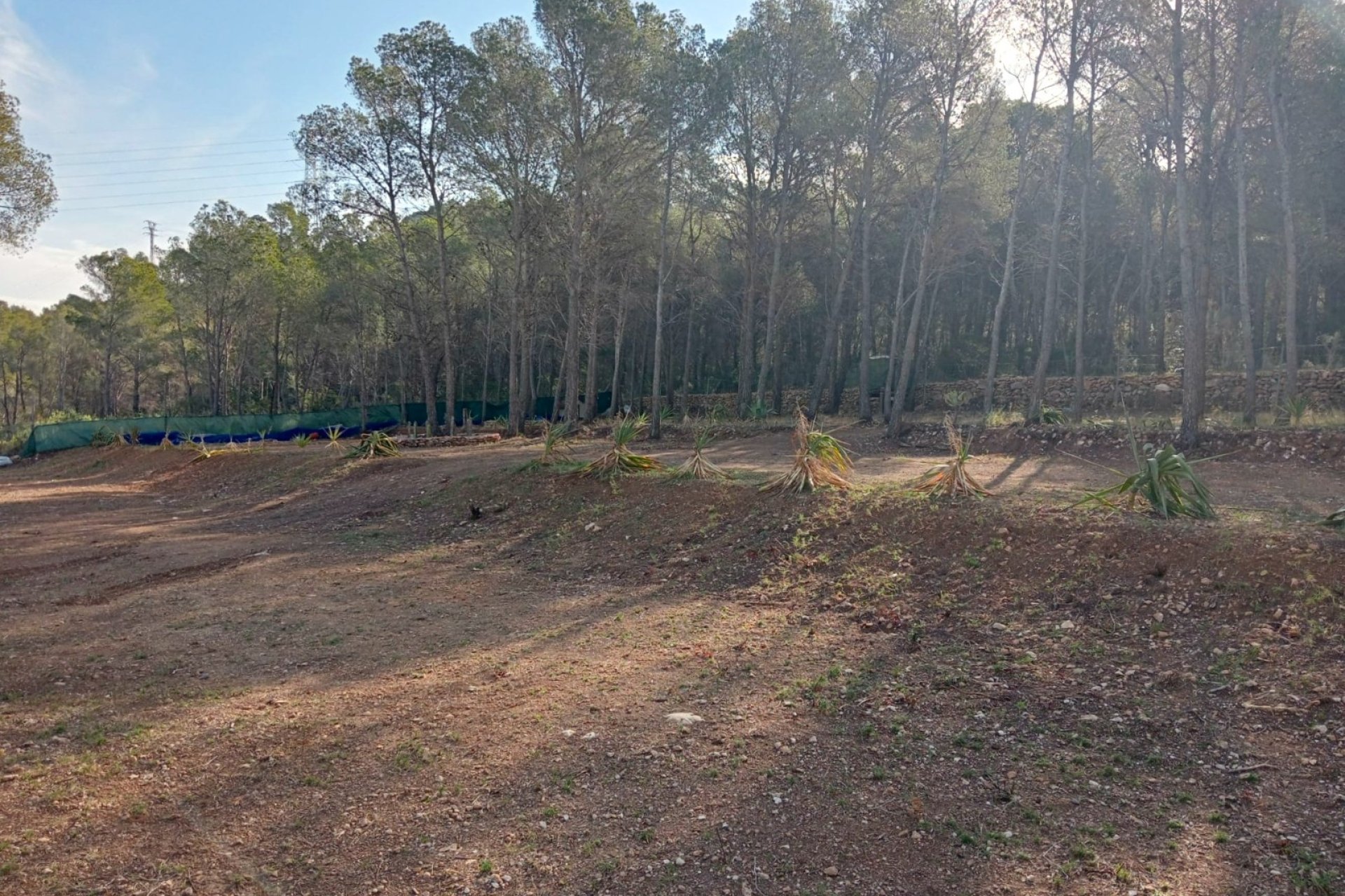 Plot - Rustic Land in Finestrat (Costa Blanca)