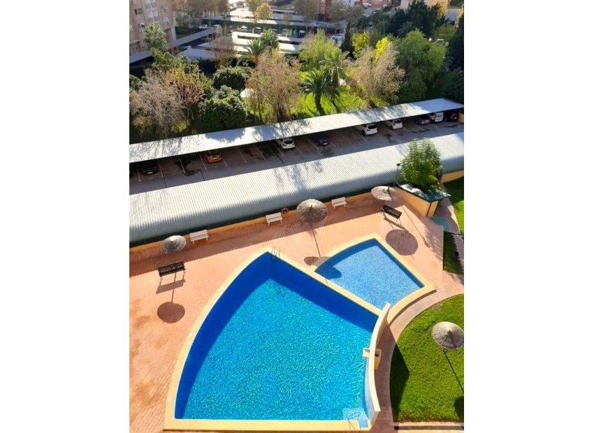 Pool - Apartment for Sale in a Good Residential Complex with Communal Pool in Benidorm (Costa Blanca)