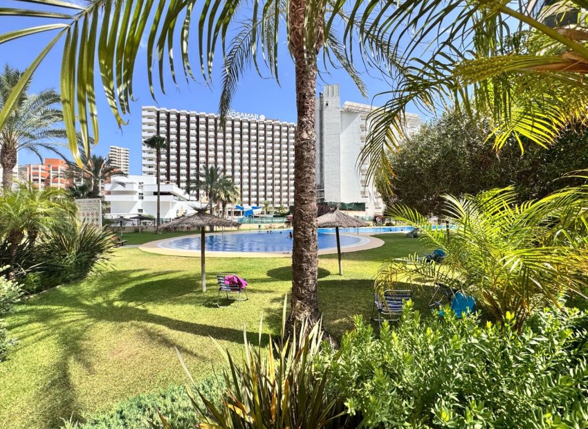 Pool - Apartment in Benidorm Levante close to the beach (Benidorm – Costa Blanca)