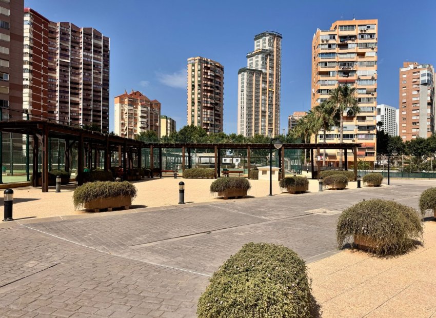 Pool - Apartment in Benidorm Levante close to the beach (Benidorm – Costa Blanca)
