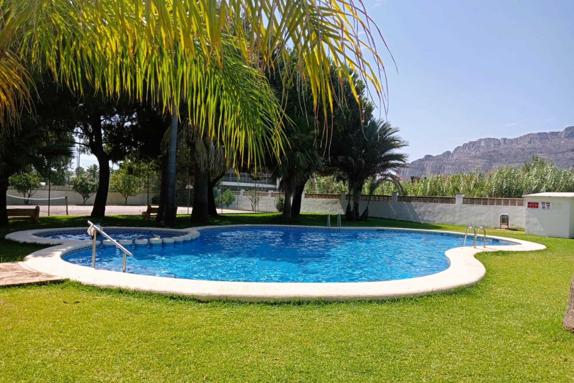 Pool - Apartment in Denia – (Costa Blanca – Alicante)