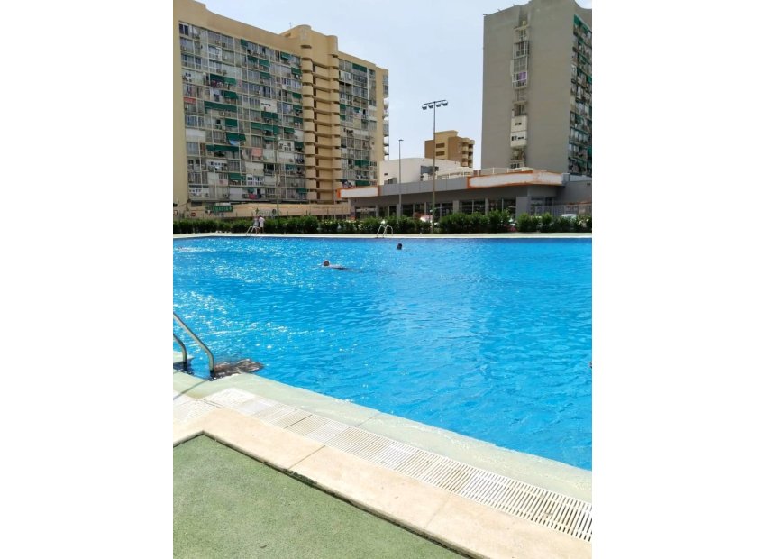 Pool - Cozy Renovated Studio in Playmon Building – Pueblo Levante, Benidorm (Costa Blanca)