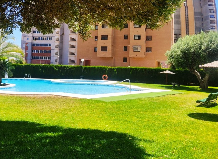 Resale - Apartment / flat -
Benidorm - Zona de Poniente