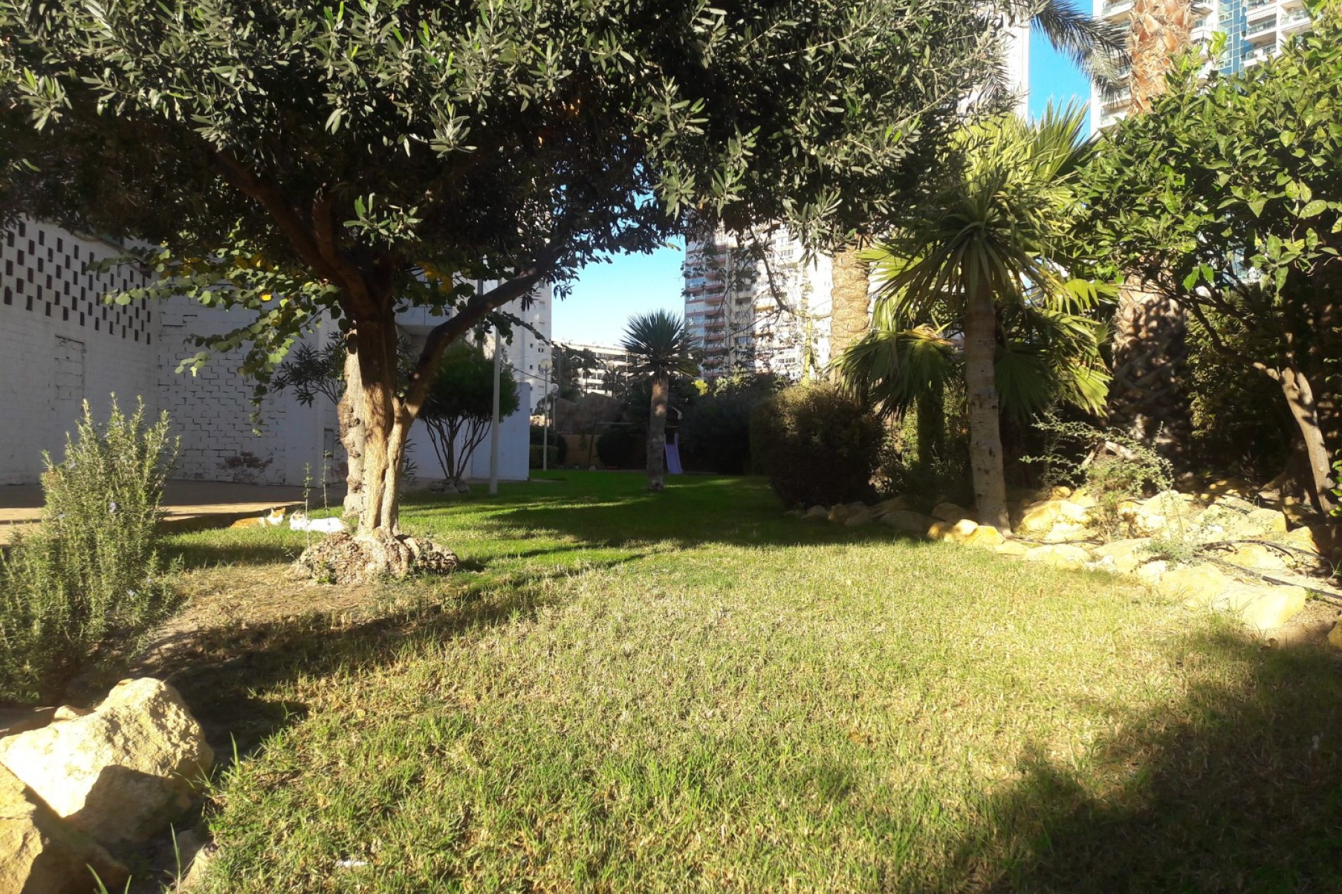 Resale - Apartment / flat -
Benidorm - Zona de Poniente