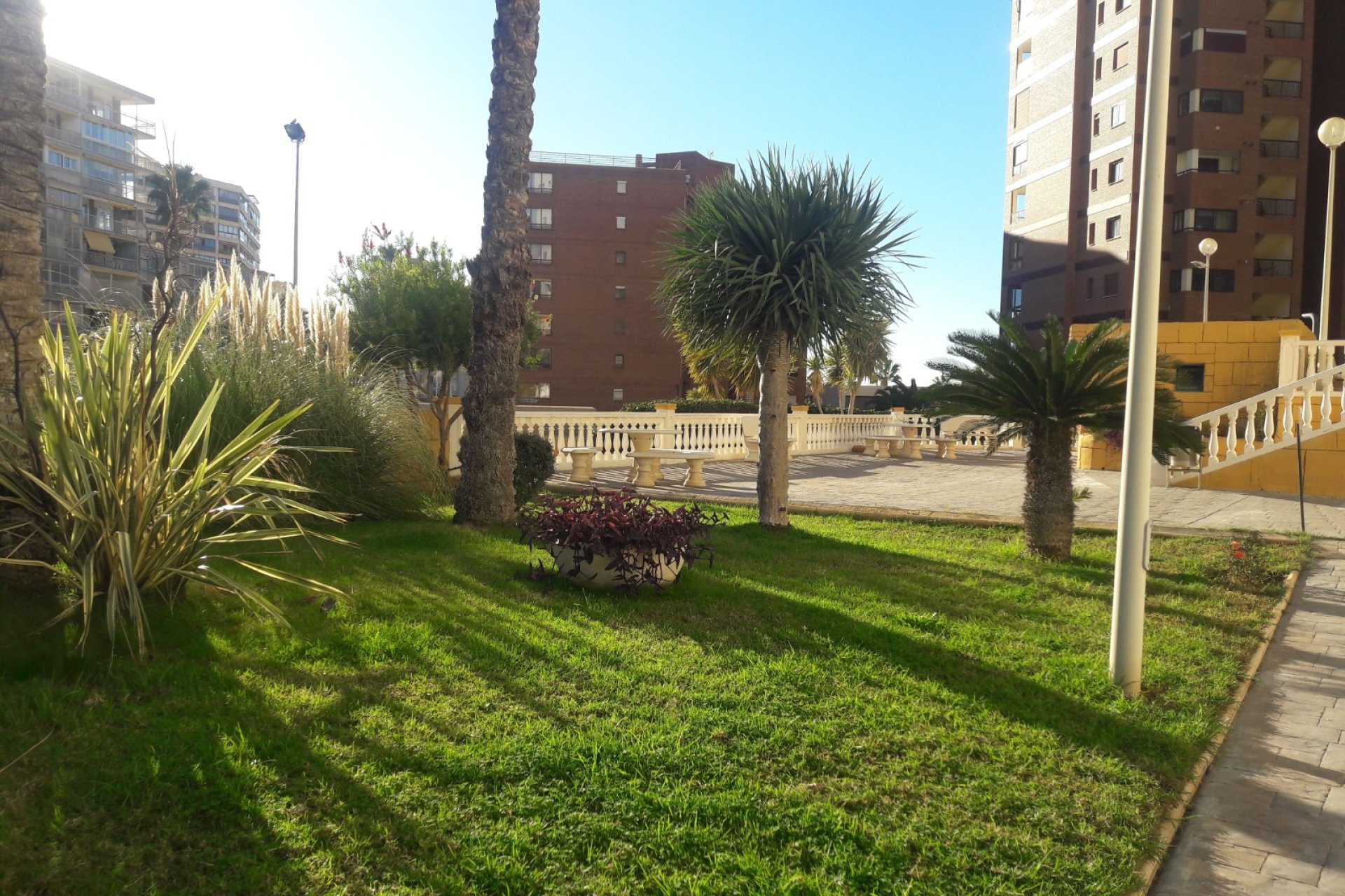 Resale - Apartment / flat -
Benidorm - Zona de Poniente