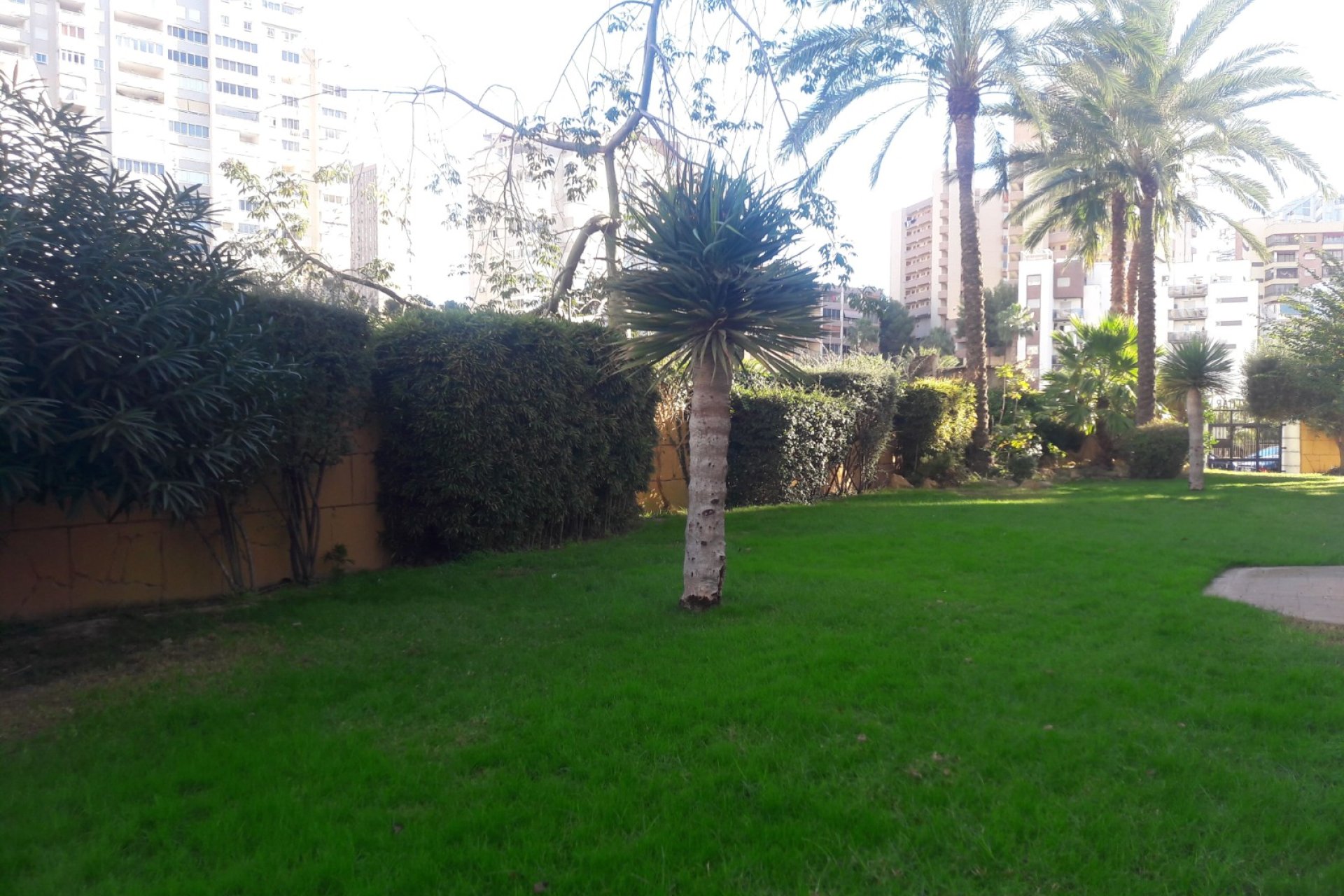 Resale - Apartment / flat -
Benidorm - Zona de Poniente