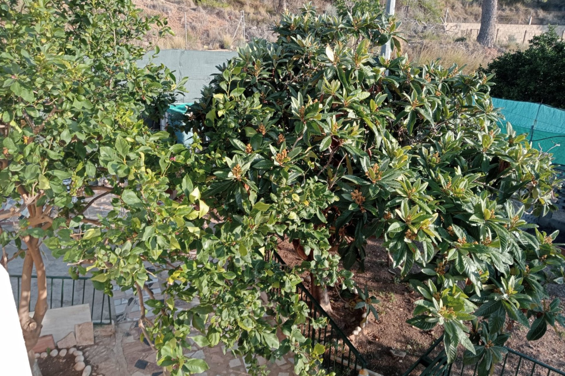 Resale - Casa  -
La Nucía