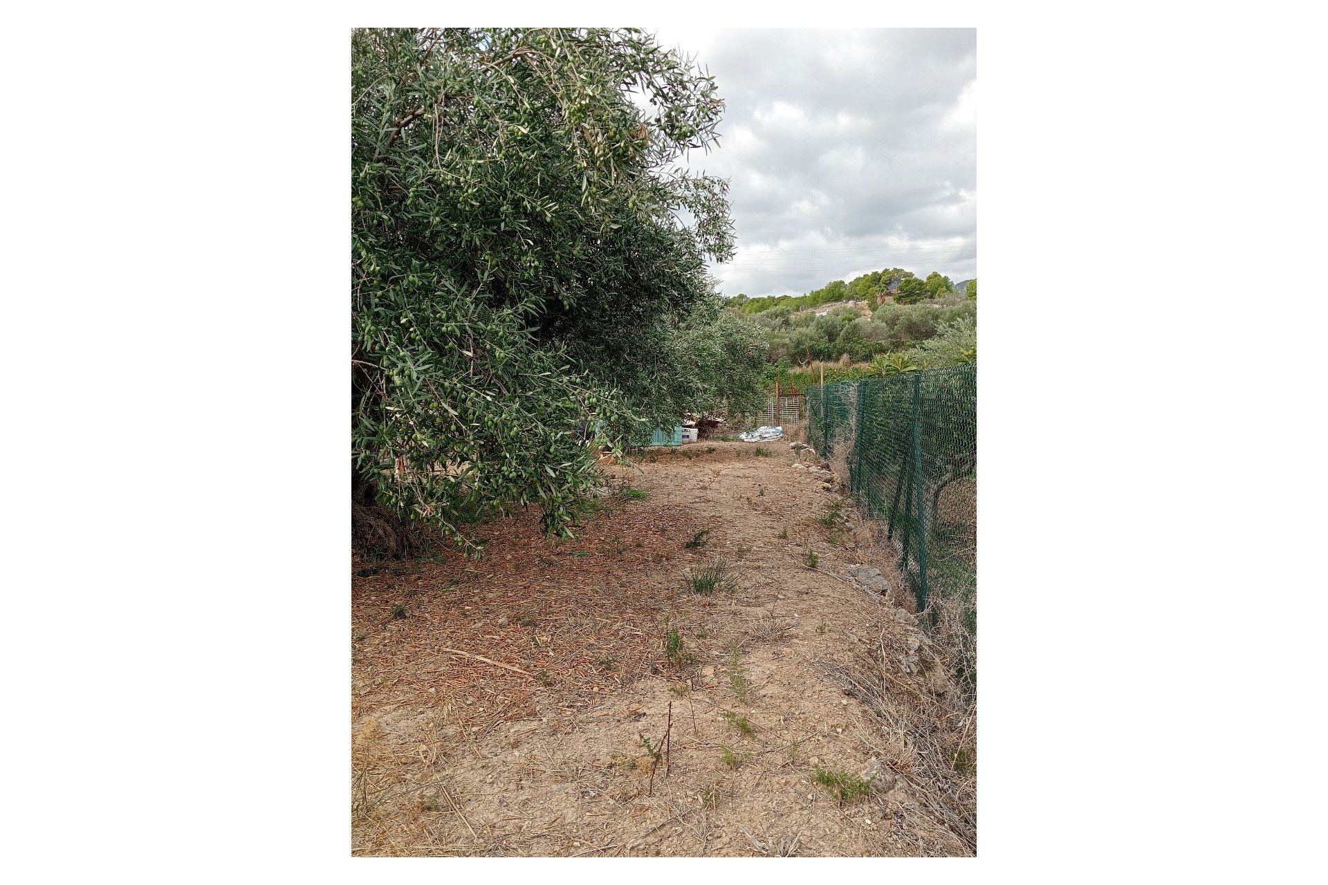 Resale - Plot / Land -
La Nucía