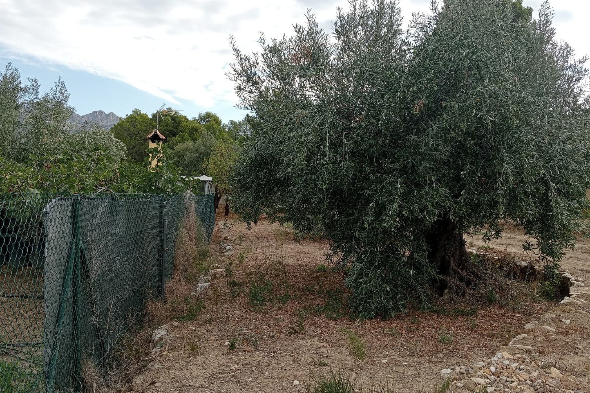 Resale - Plot / Land -
La Nucía