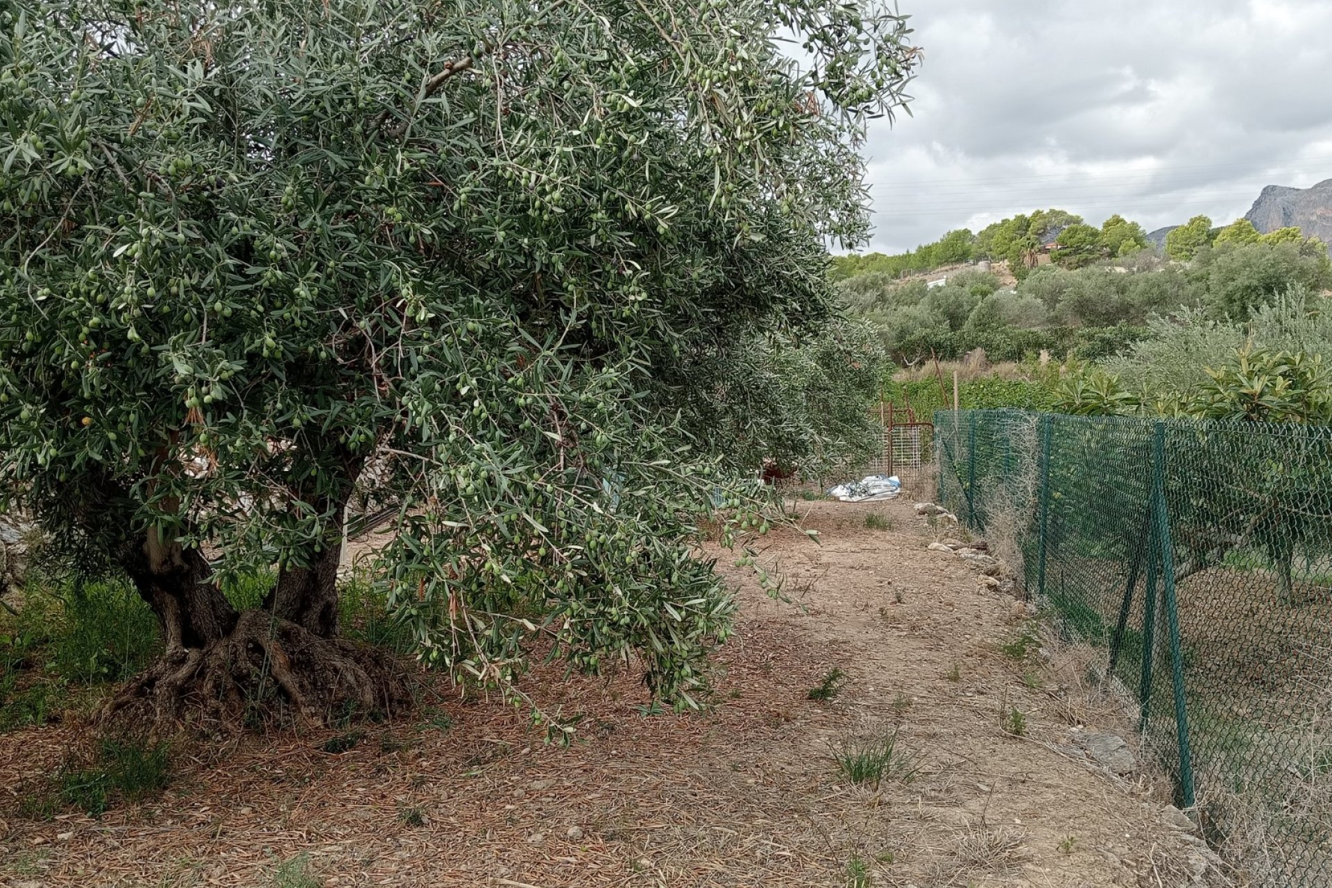 Resale - Plot / Land -
La Nucía