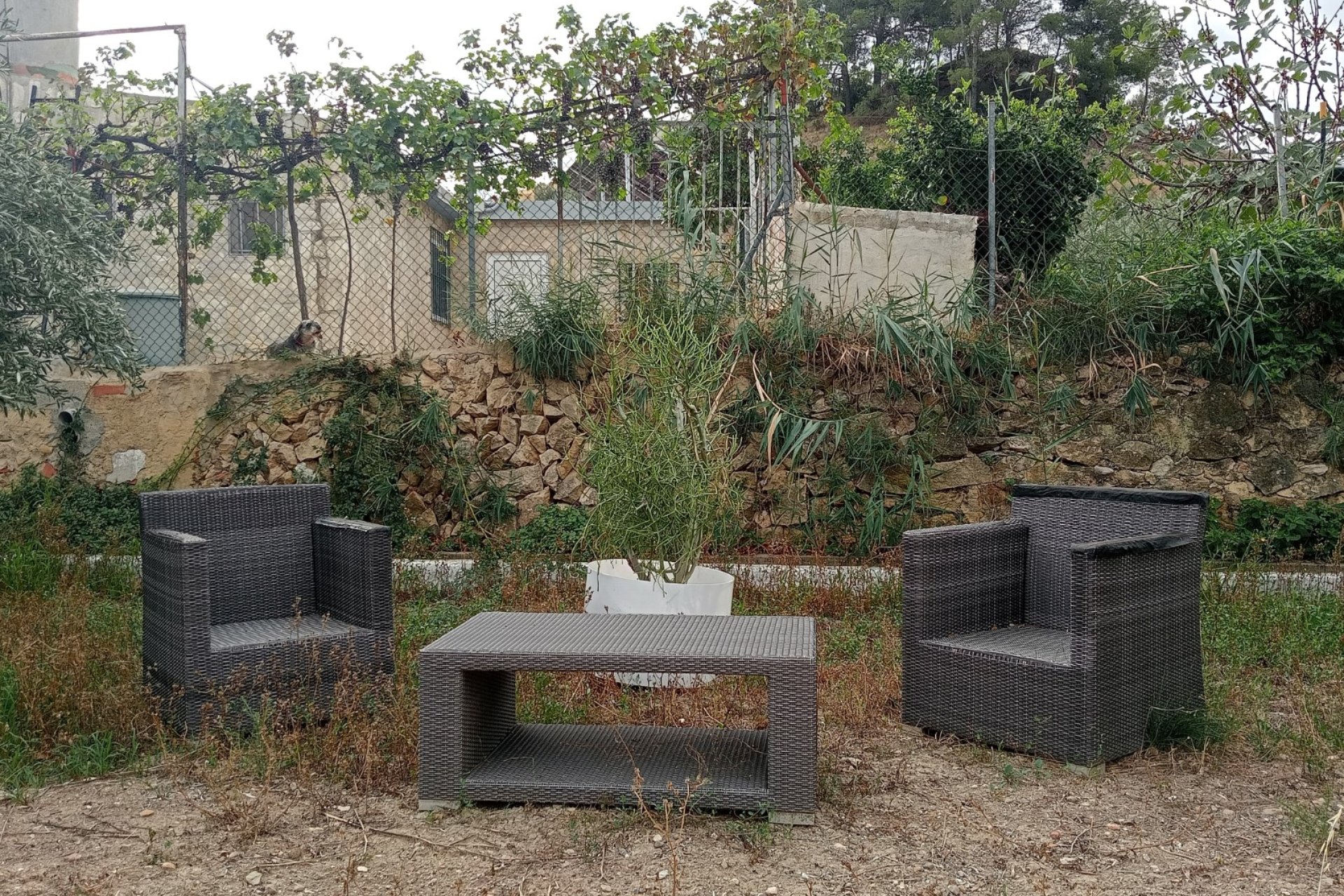 Resale - Plot / Land -
La Nucía