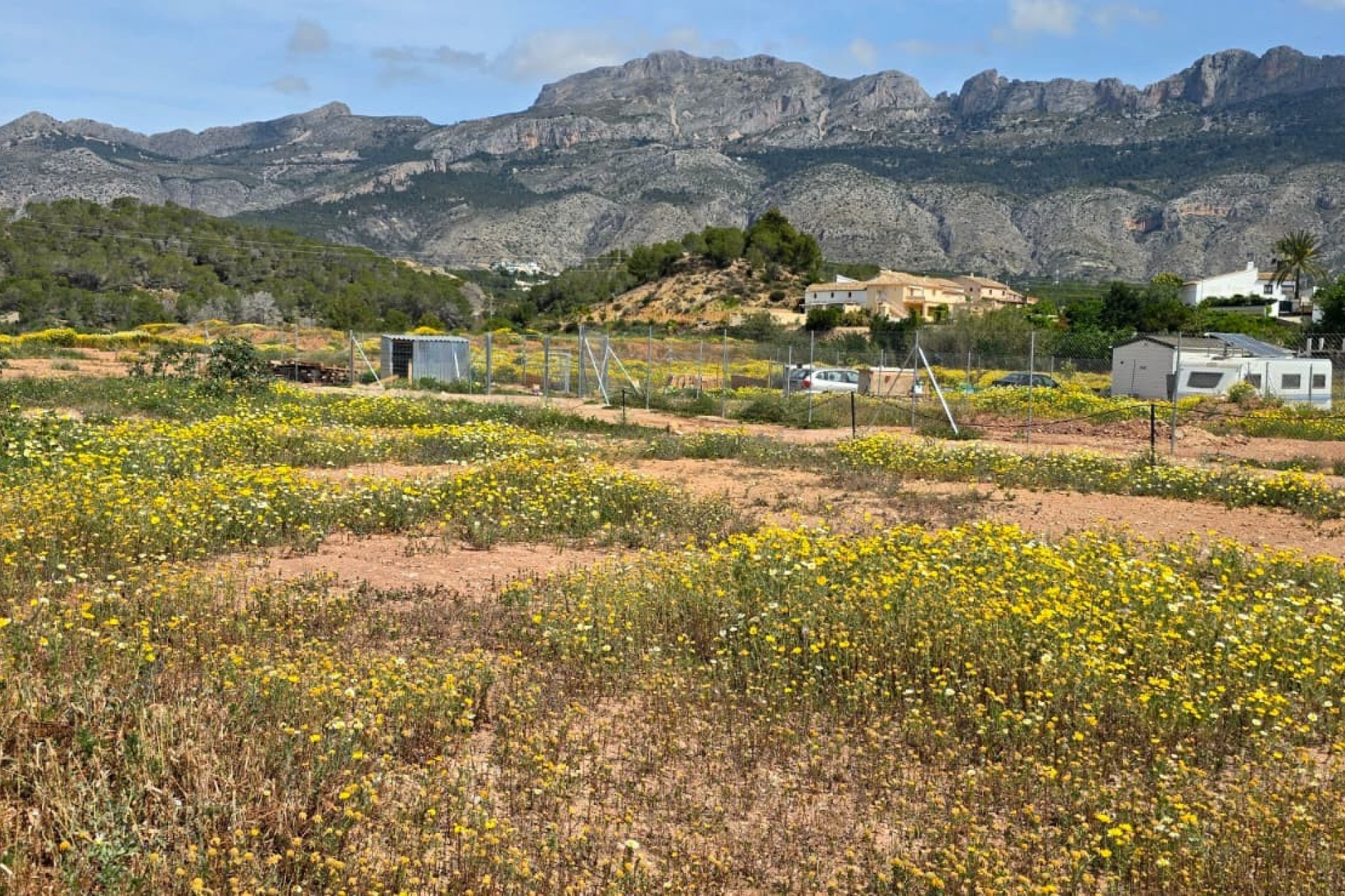 Resale - rustic plot -
Altea - Olla Altea
