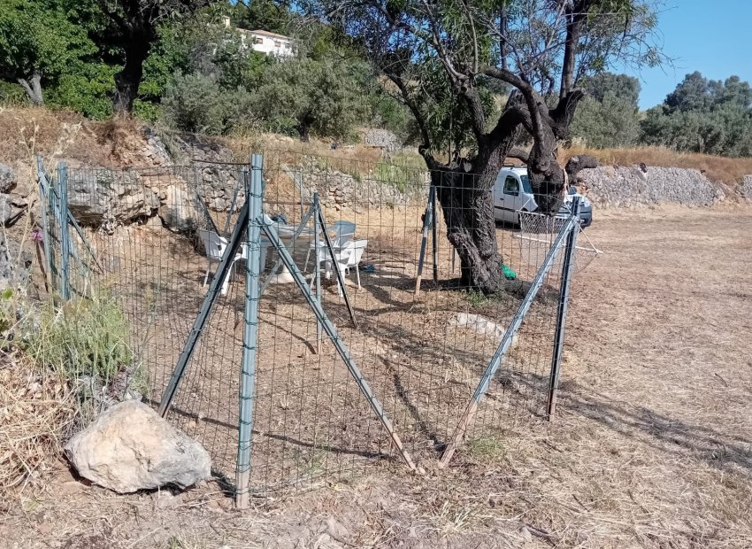 Resale - rustic plot -
Benimantell