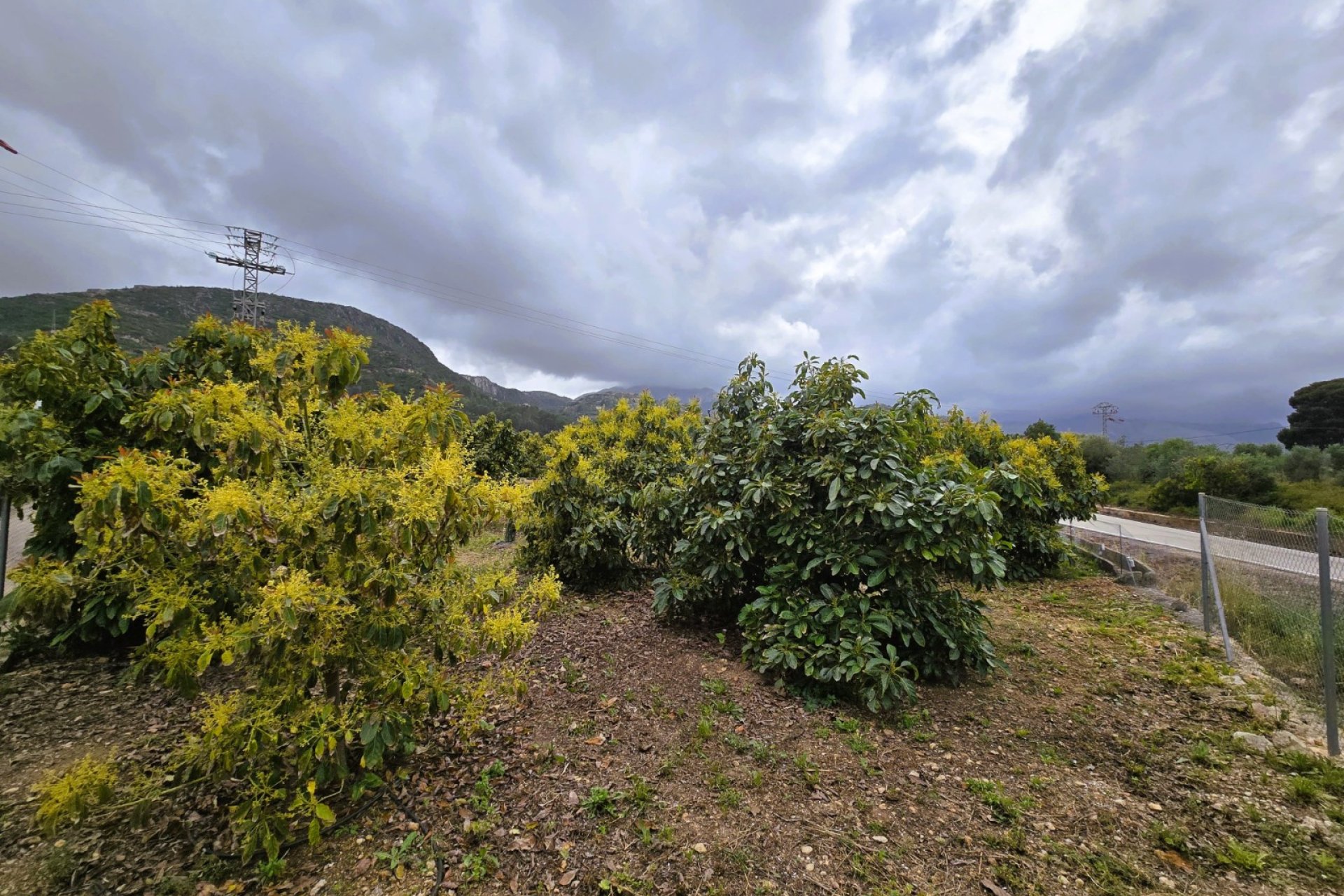 Resale - rustic plot -
Pego