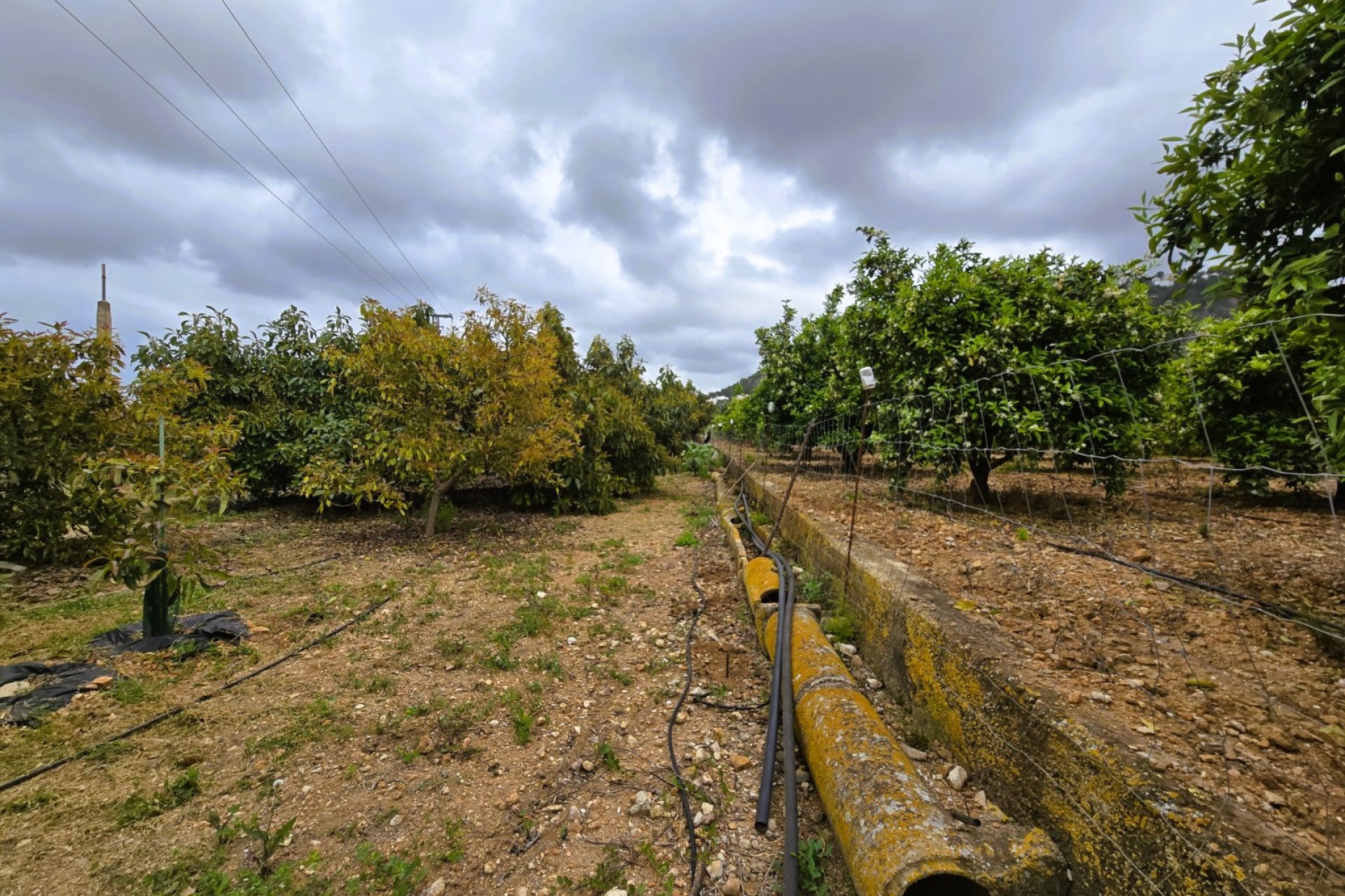 Resale - rustic plot -
Pego