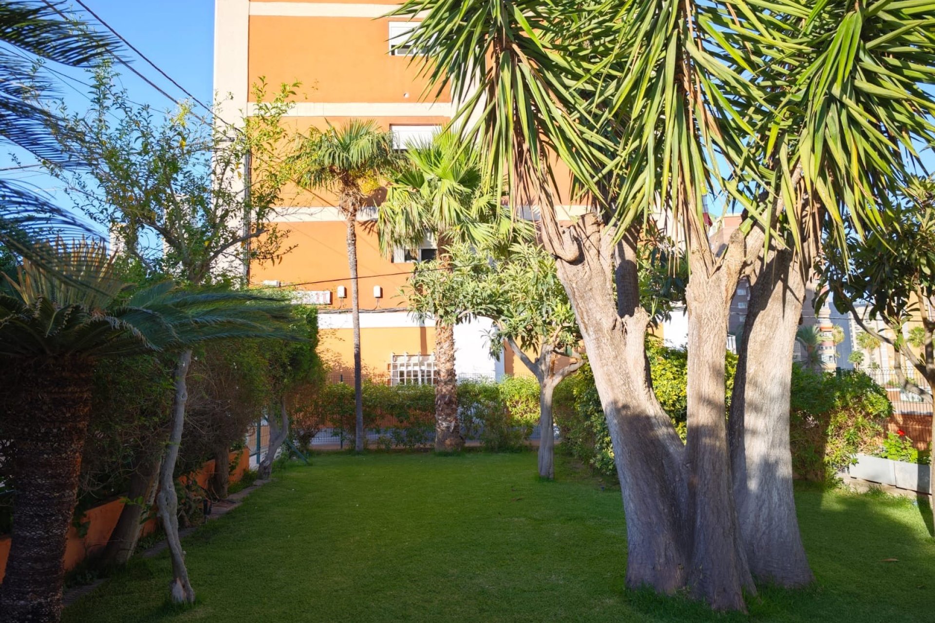 Resale - Study -
Benidorm - Levante