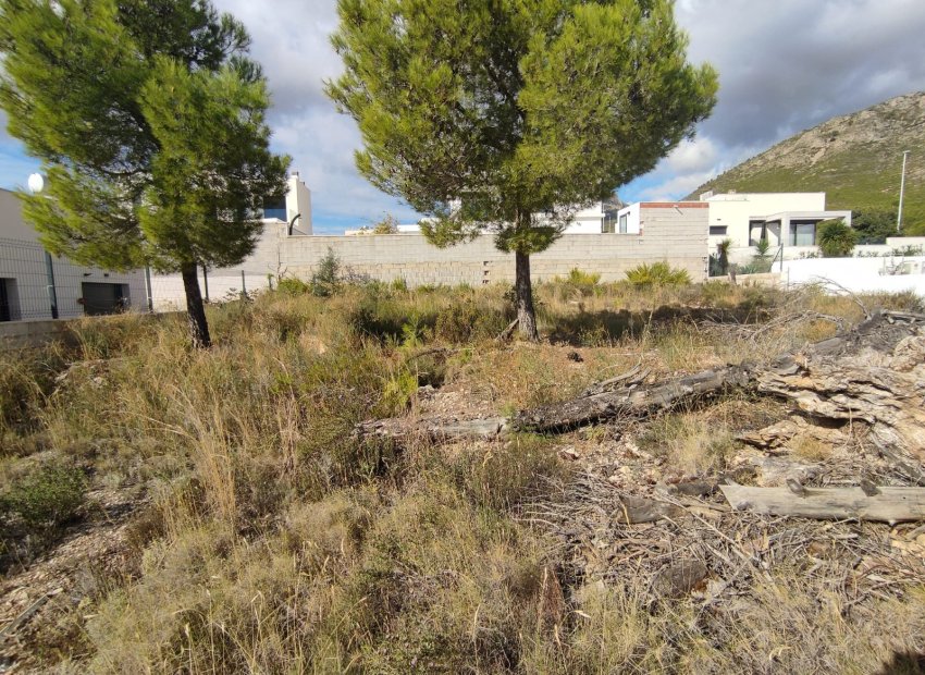 Resale - Urban plot -
Polop