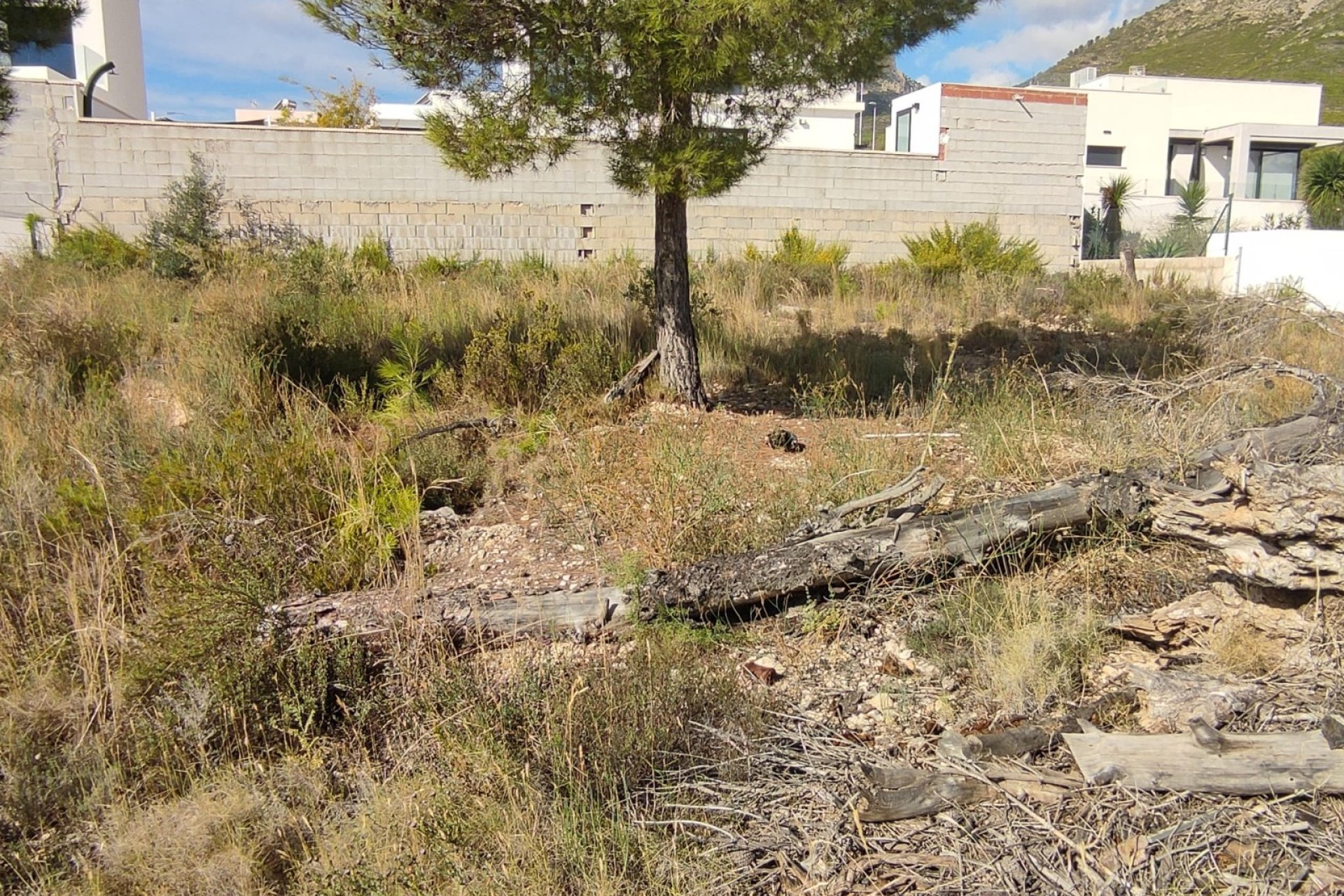 Resale - Urban plot -
Polop