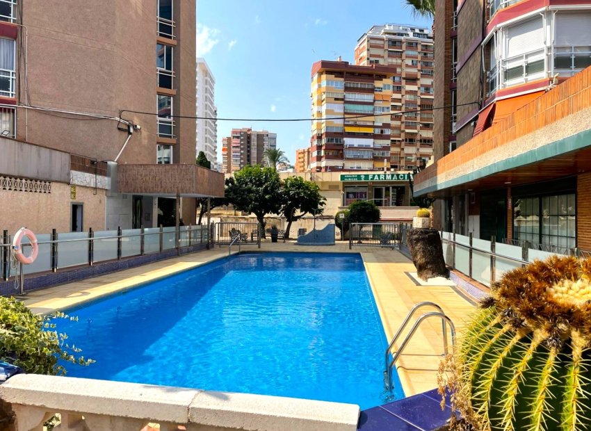 Revente - Appartement -
Benidorm - Centro