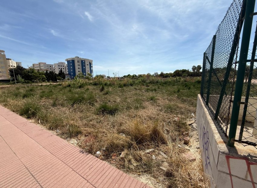 Revente - Parcelle / Terrain -
Piles - Playa