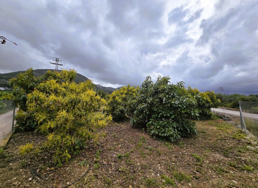 Rustic land - Rustic Land in Pego – (Alicante)