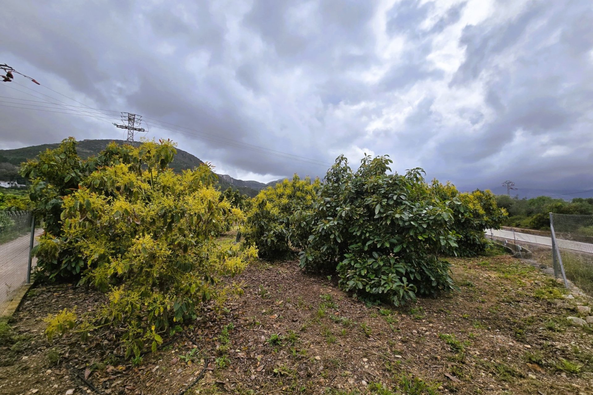 Rustic land - Rustic Land in Pego – (Alicante)