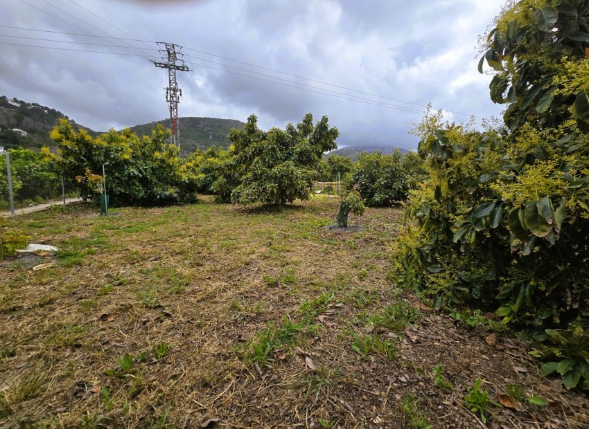 Rustic land - Rustic Land in Pego – (Alicante)