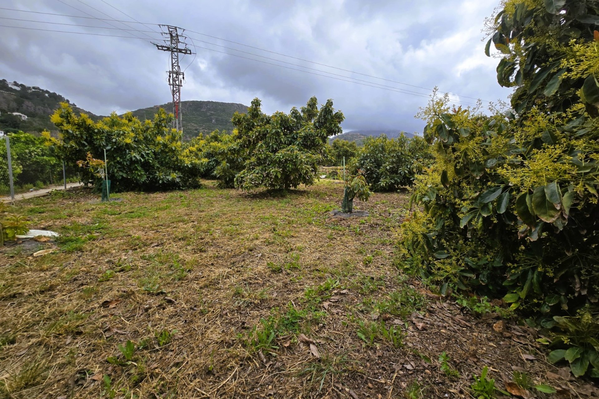 Rustic land - Rustic Land in Pego – (Alicante)