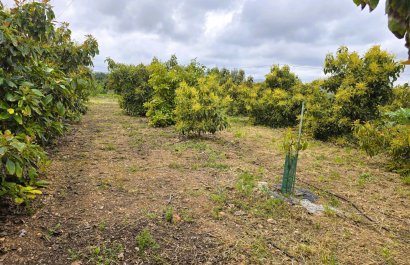 rustic plot - Resale -
            Pego - 57-25