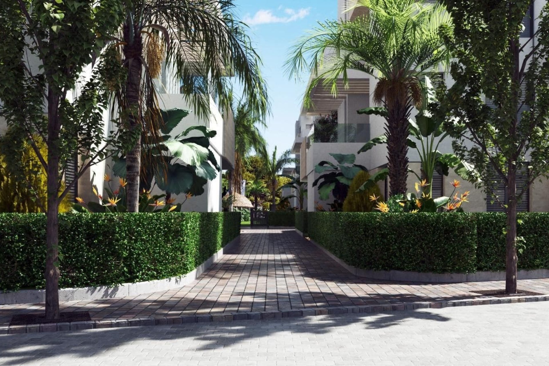 Rynek Pierwotny - Mieszkanie -
Torre Pacheco - Santa Rosalía Resort