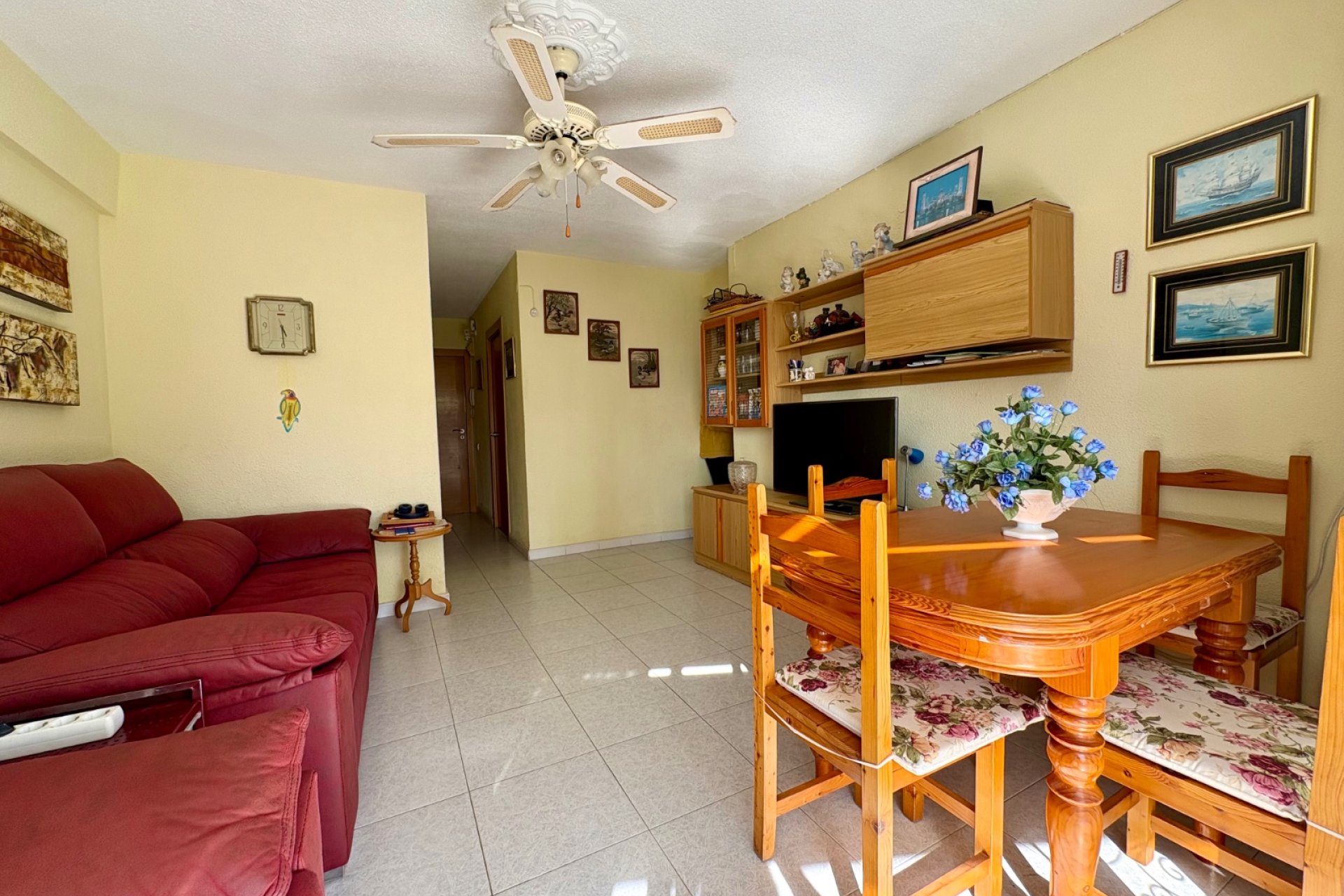 Salon - Apartament w Benidormie (Costa Blanca)
