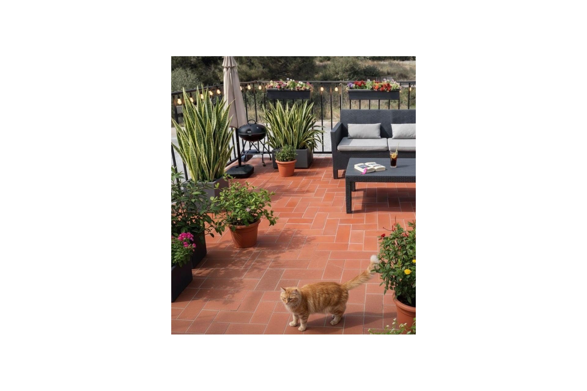 Segunda mano - Apartamento / piso -
Altea