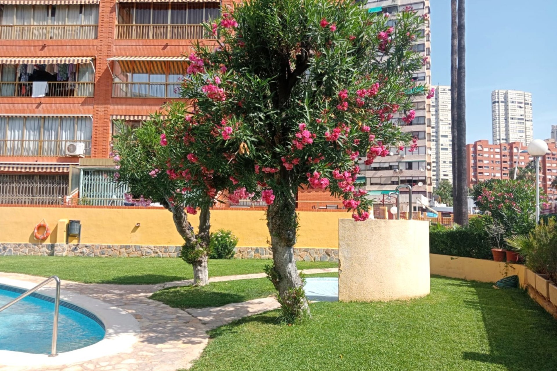 Segunda mano - Apartamento / piso -
Benidorm - Centro