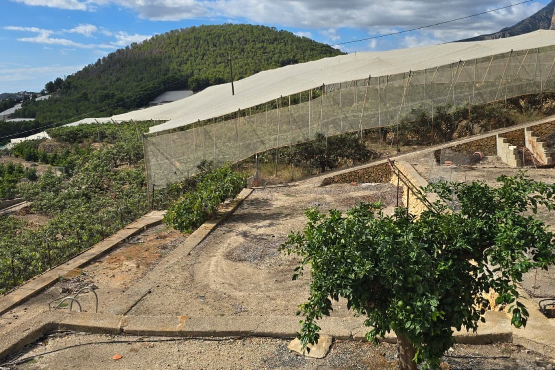 Segunda mano - Chalet independiente -
Callosa De Ensarrià