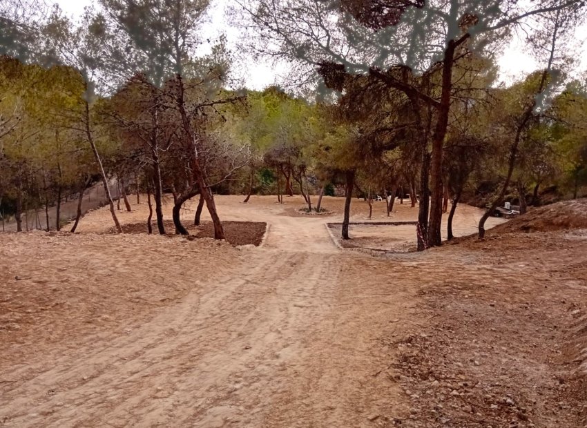 Segunda mano - Parcela / Terreno -
Alfas del Pí