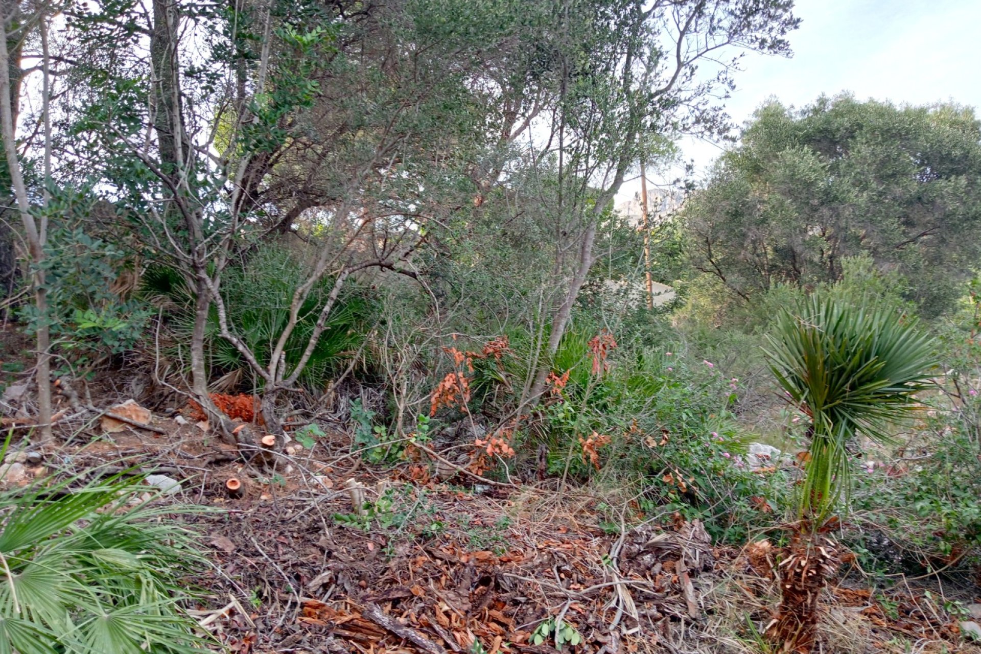 Segunda mano - Parcela / Terreno -
Altea