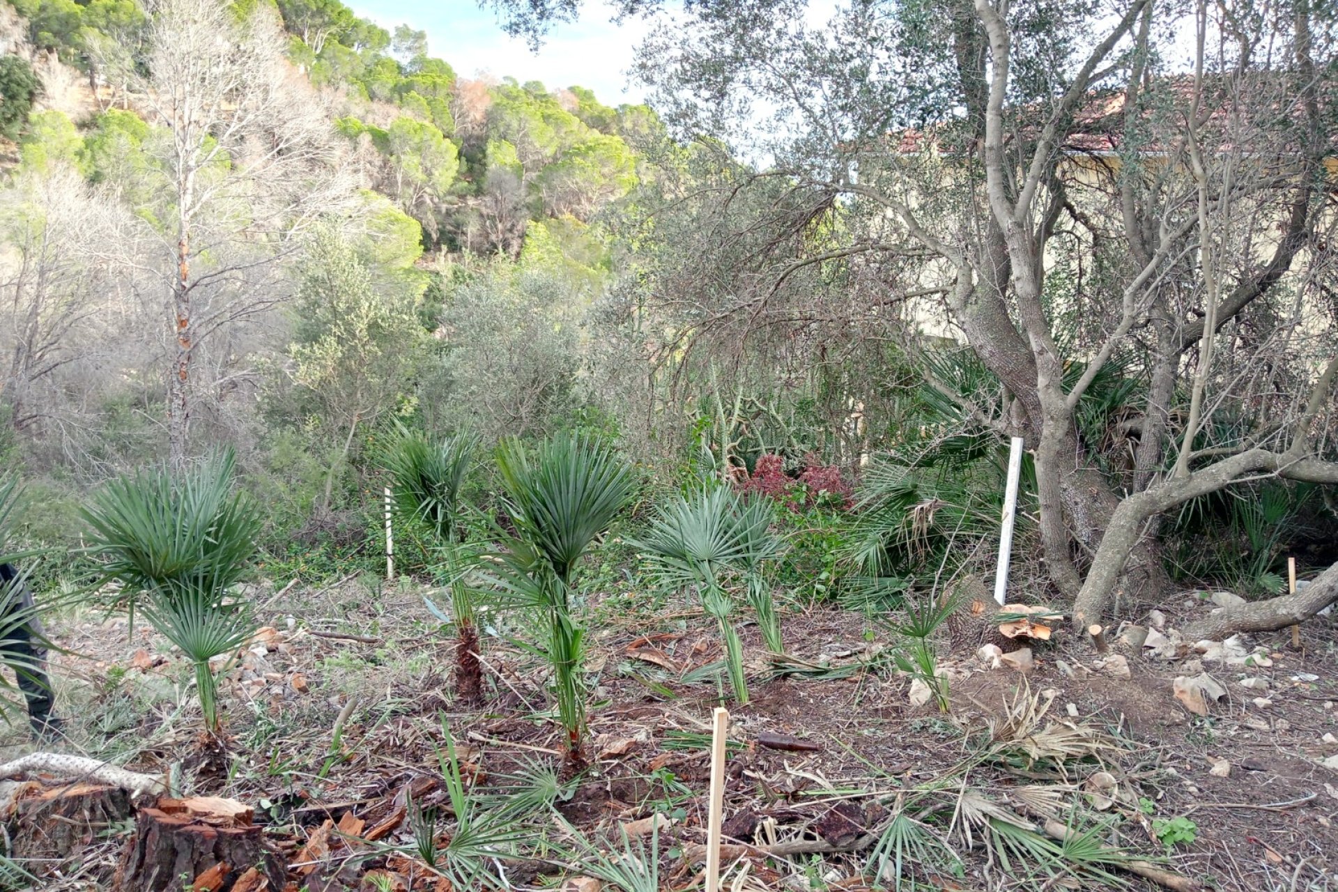 Segunda mano - Parcela / Terreno -
Altea