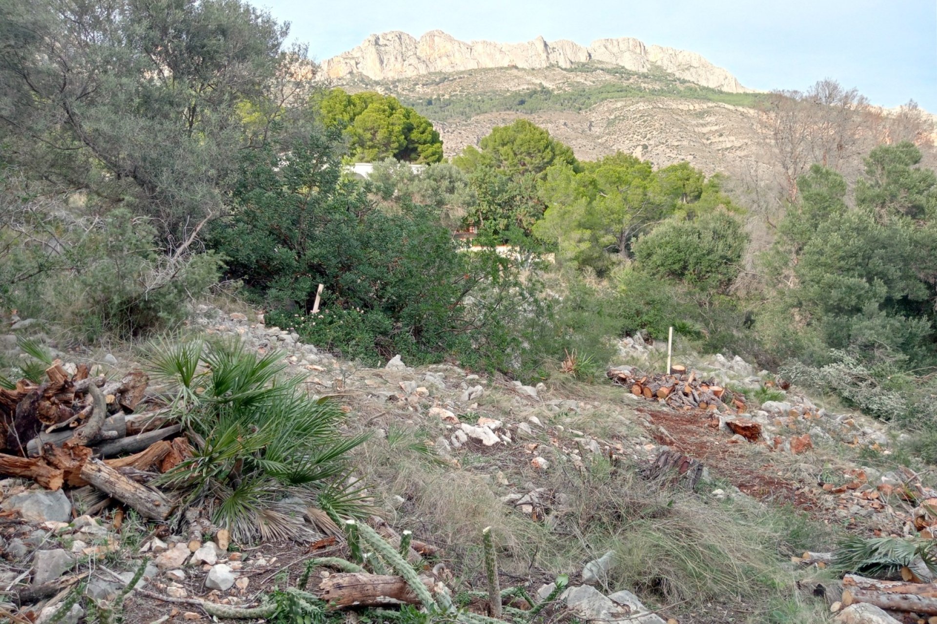 Segunda mano - Parcela / Terreno -
Altea