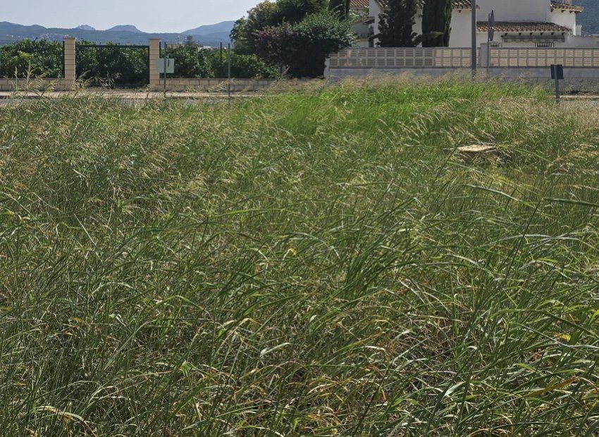 Segunda mano - Parcela / Terreno -
Els Poblets