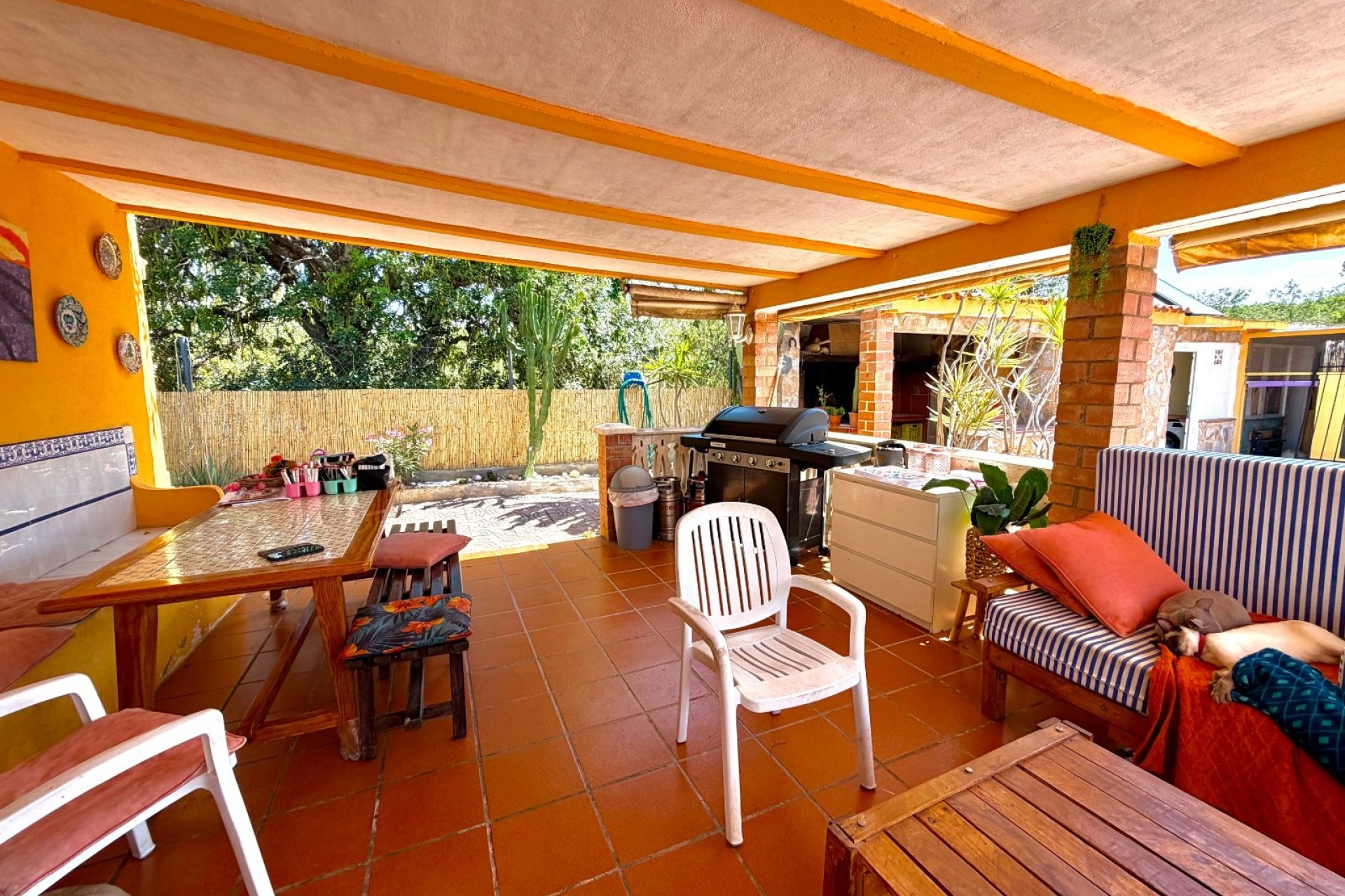 Segunda mano - Villa -
Alfas del Pí